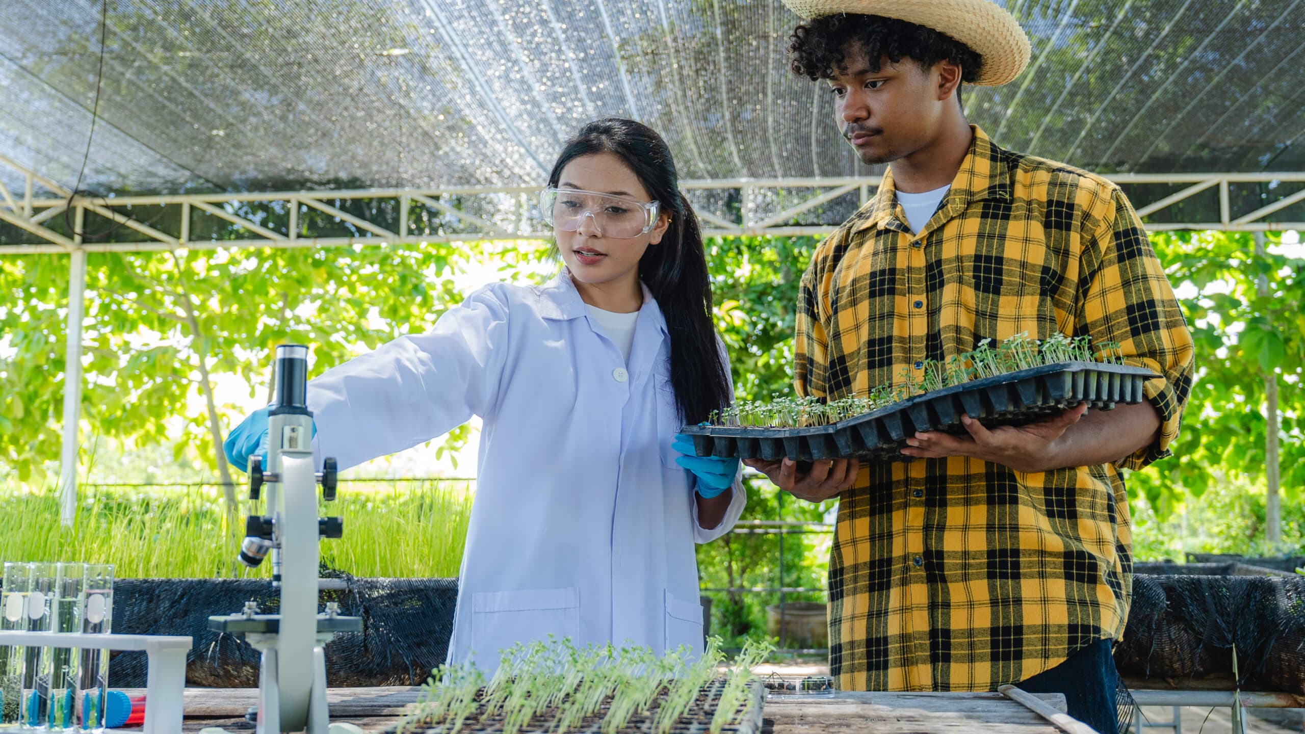 Roorkee College of Agricultural Sciences campus
